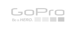 Логотип компании ГоуПро